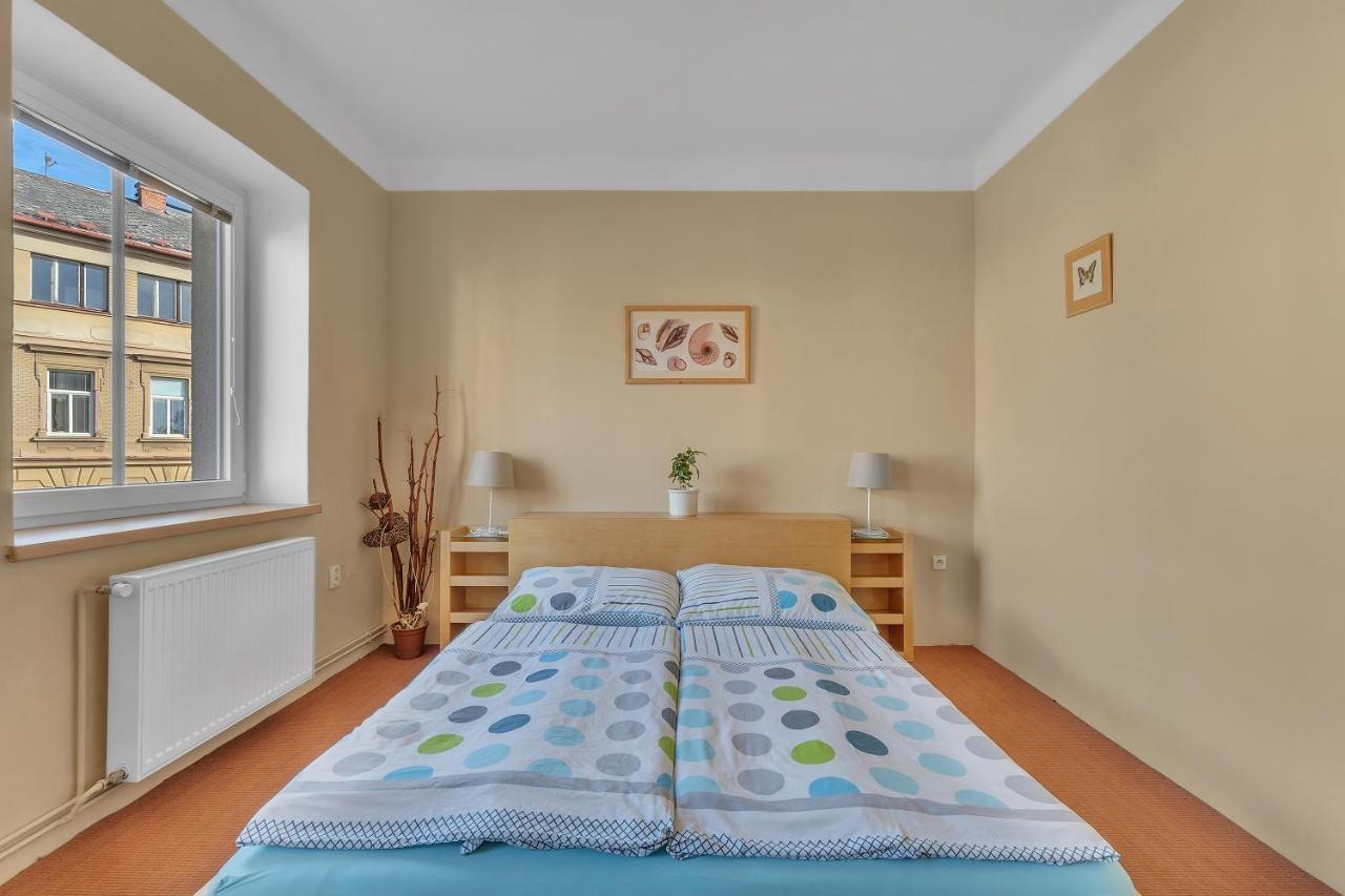 Apartman U Javorky Lázně Bělohrad Eksteriør billede